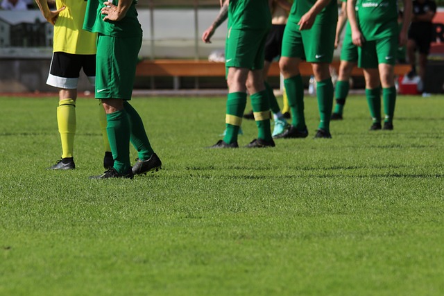 体策略的完 体策略的完