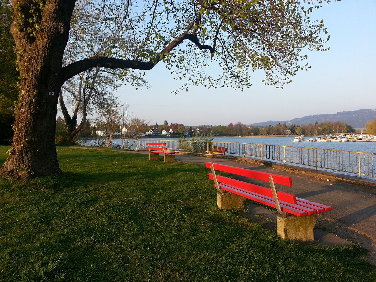 面上的支持 面上的支持