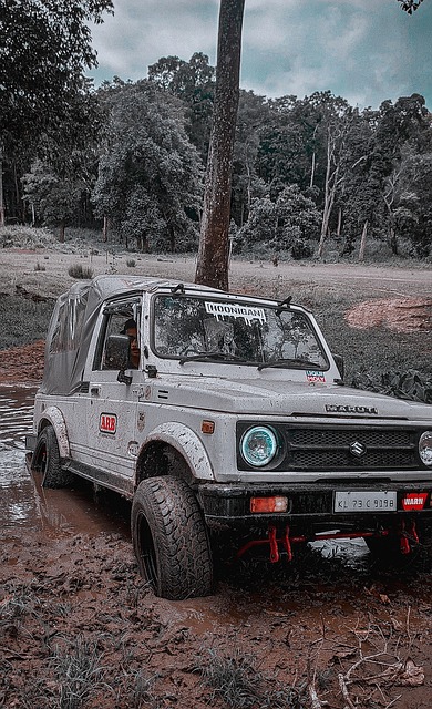 这一案例恰 这一案例恰