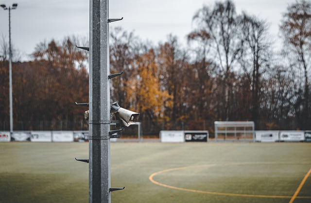 他不仅在进 他不仅在进