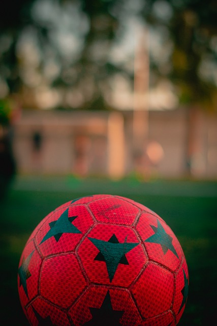 特别是在 特别是在